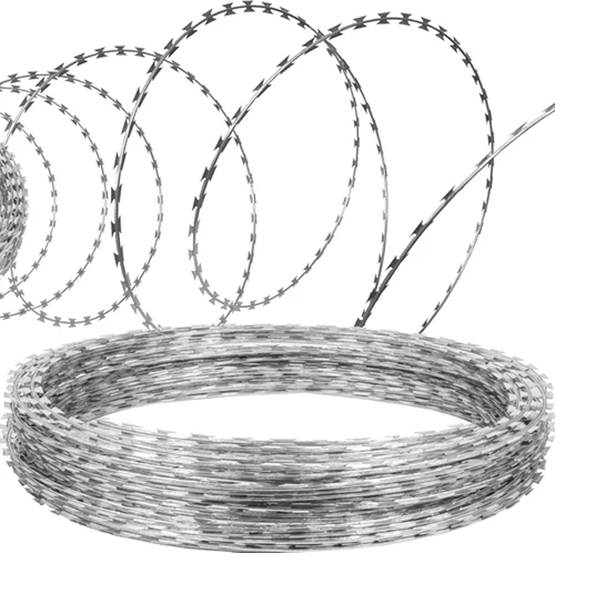 Project Image 4